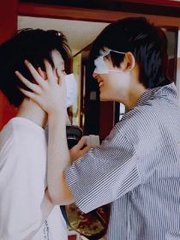 四叶草免费入口